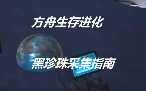 方舟生存进化黑珍珠的获得方法：从孤岛到全地图最全攻略