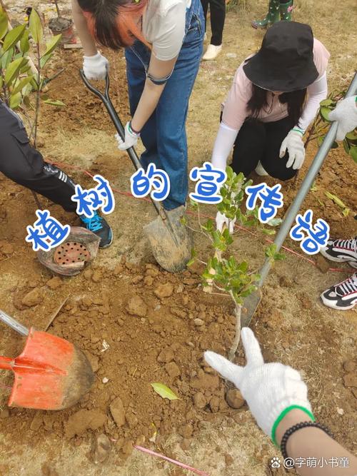 《打造世界》种树全攻略：从解锁魔法到高效造林避坑指南