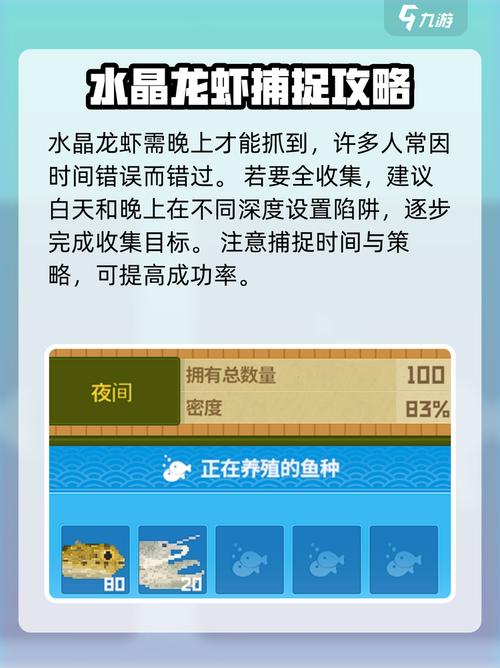 潜水员戴夫龙虾怎么抓？从地点、工具到诱饵的全攻略