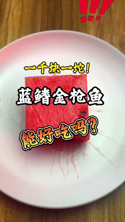 潜水员戴夫金枪鱼怎么抓？三种高效捕捉方法及肉源全解析