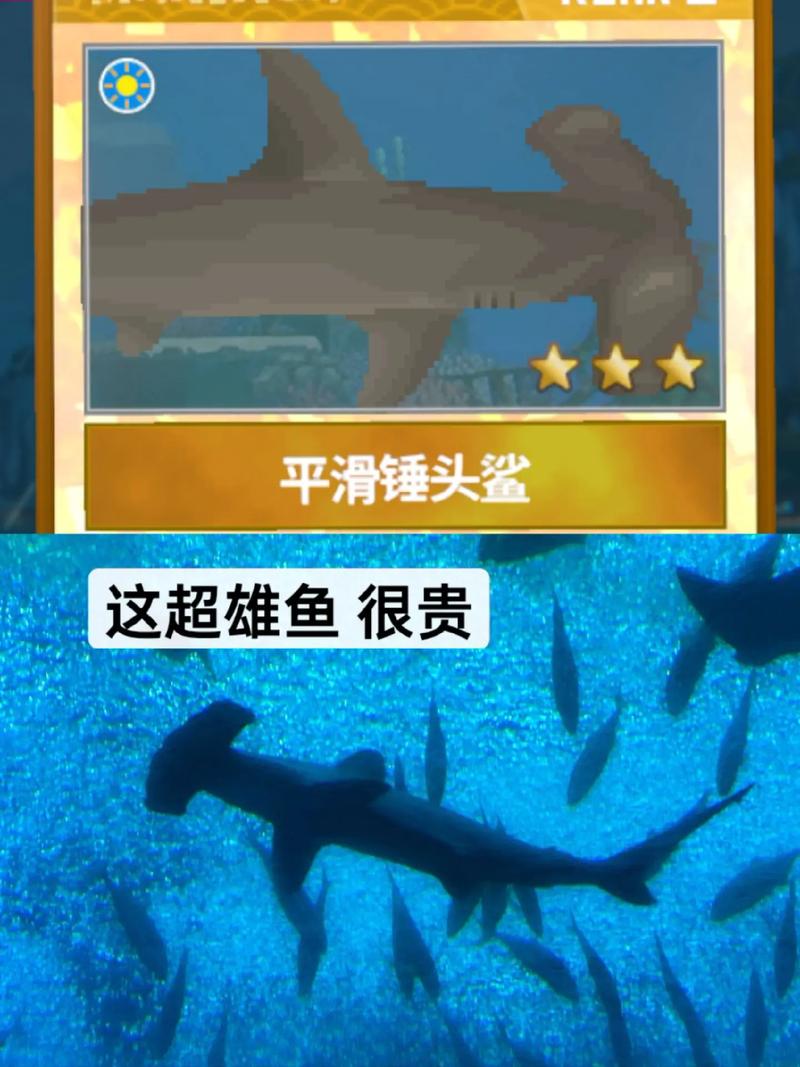 潜水员戴夫大蒜怎么获得?菜园种植全攻略与高效应用指南