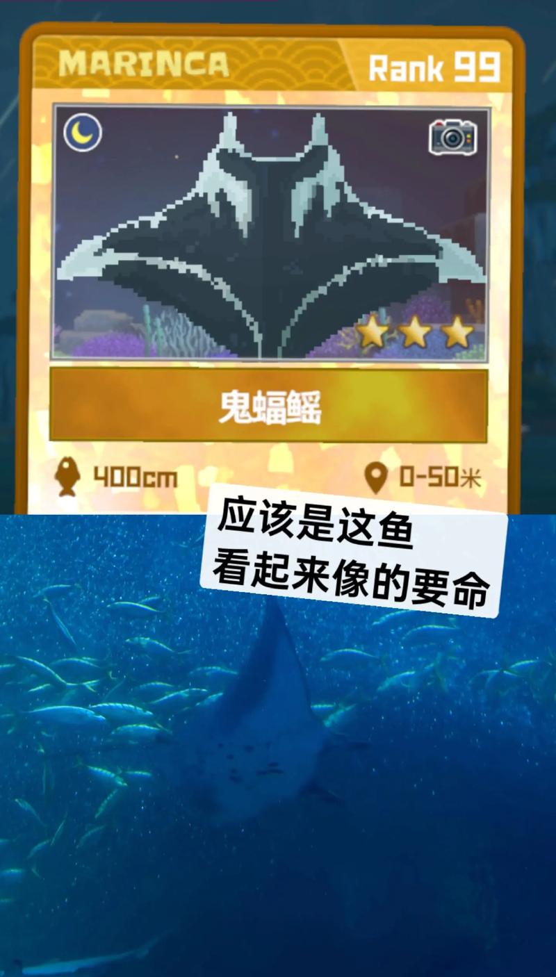 潜水员戴夫水母怎么抓?从入门到精通的全方位抓捕攻略