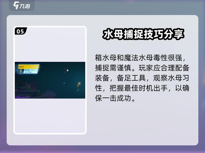 潜水员戴夫怎么抓水母?从新手入门到高手进阶的完整攻略