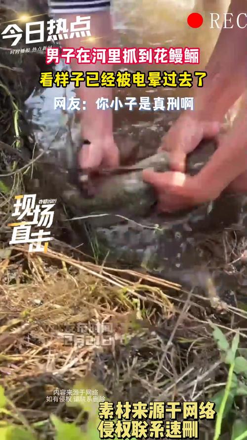潜水员戴夫斑状电鳝怎么抓?夜潜30米位置与无伤捕获全攻略